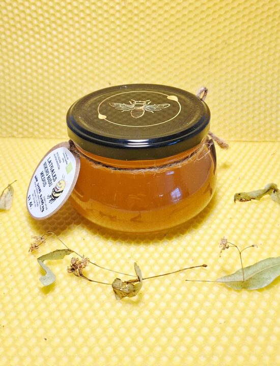 BIO MEDUS 0,4KG (DAŽĀDU ZIEDU)